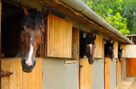 free Cowleaze Corner stable construction quotes